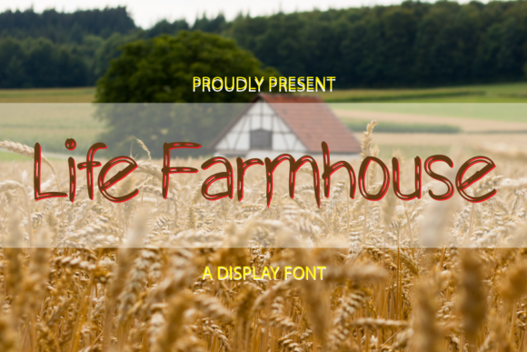 How Life Farmhouse Font Gave My Small Business a Polished, Professional Look