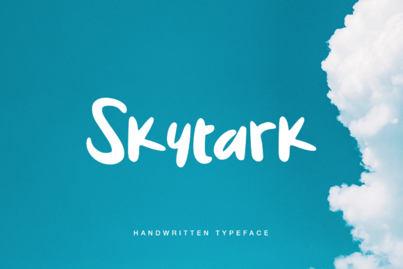 Skytark: A Bold Display Font for Creative Business Branding